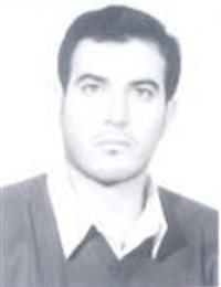 وکیل علی لک