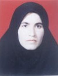 وکیل صغری حسنوند