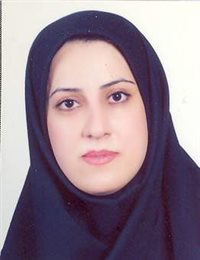 وکیل اعظم نوروزی قلعه باباخانی