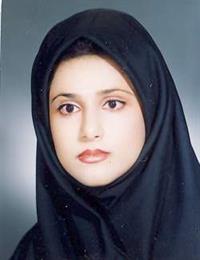 وکیل نیکی همام