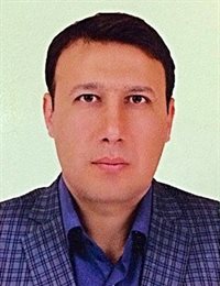 وکیل مجتبی انصاری