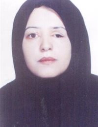 وکیل اعظم عادلی