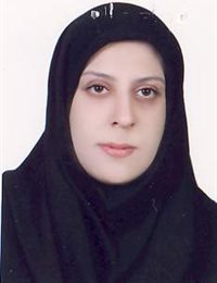 وکیل مریم میر عباسی