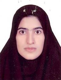 وکیل فلک ناز قاسمی پیر بلوطی