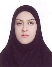 وکیل نرگس رفیعی مقصود بیگی
