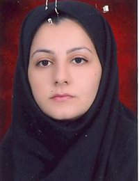 وکیل لیلا محمدی مویه