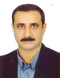 وکیل مجید رضوی