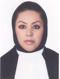 وکیل نگین طالبی