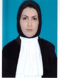 وکیل فریبا ملائی