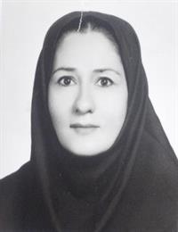 وکیل لیلی میرزائی پوئینک