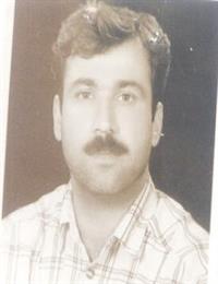 وکیل مهدی سیاوشی
