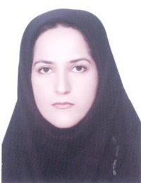 وکیل فاطمه پارسائی