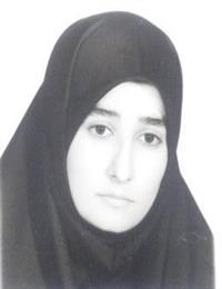 وکیل نرگس محمدی سپه وند