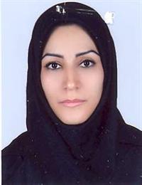 وکیل لیلا ایروانی مهر