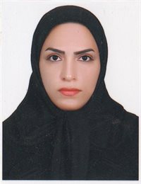 وکیل اکرم سالارپور