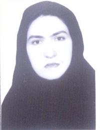 وکیل اکرم حبیبی