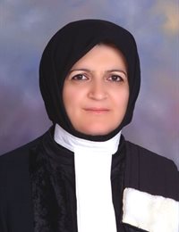 وکیل فاطمه گلنار