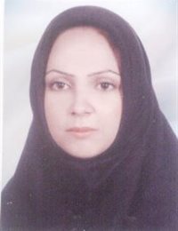 وکیل سولماز ولی زاده