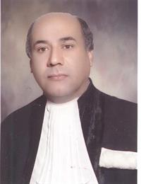 وکیل میرزا محمدی