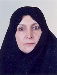 وکیل بدرالملوک نفیسی