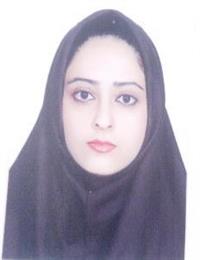 وکیل سارا حمزه زاده