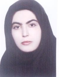 وکیل الهام امیری