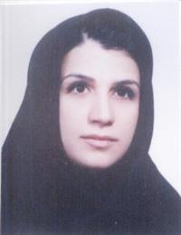 وکیل نرگس صبری