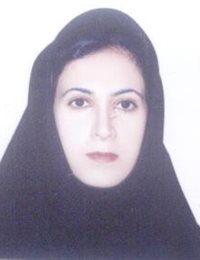 وکیل ساره صادقی