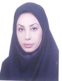 وکیل آرین امیری نیا