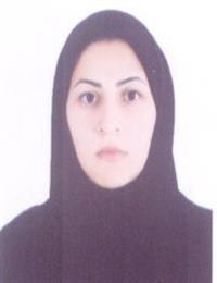 وکیل نسیم صبور