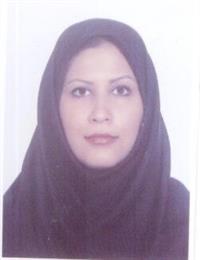 وکیل نیلوفر البرز