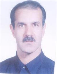 وکیل محمدرضا شریفی