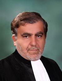 وکیل سید علیرضا صالحی اروزکی