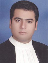 وکیل محمدرضا حکیم