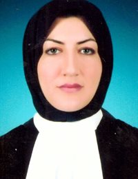 وکیل سولماز اکبرزاده