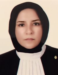 وکیل سمیه ترکمان