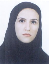 وکیل پویه پروانه