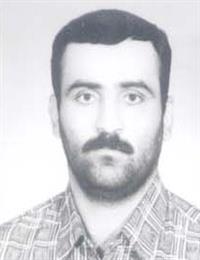 وکیل حسن رضا محمدی