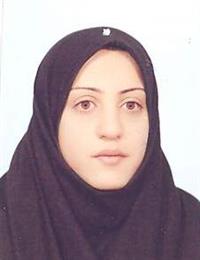 وکیل اعظم سلطانی