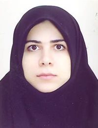 وکیل مهلا ملکی