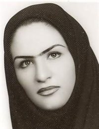 وکیل شنه لهونی نژاد