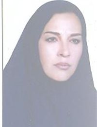 وکیل نی بیانی