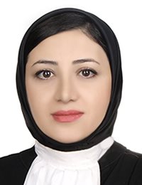 وکیل مریم نقی زاده