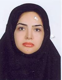 وکیل سلاله شاهرخی امیری