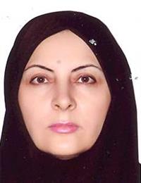 وکیل شهرزاد هادی