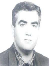 وکیل علی شاپوری
