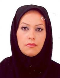 وکیل الهام زیدوندی
