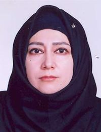 وکیل اکرم نوروز زاده چگینی