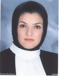 وکیل مهرنوش سیف زاده حقیقی