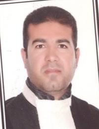 وکیل محمدرضا اژدری